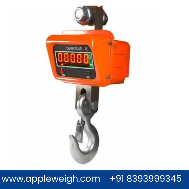 Crane Scale