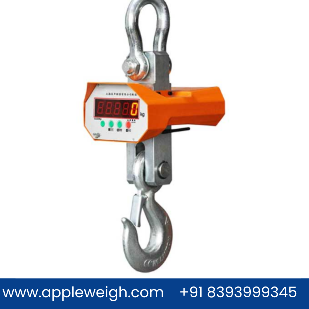 Crane Scale