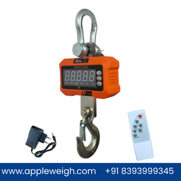 Crane Scale