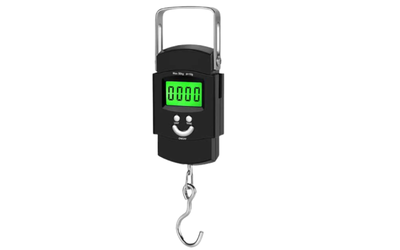 Crane Weighing Scales